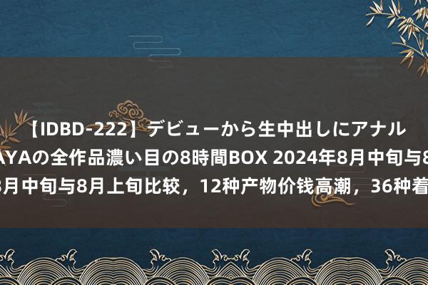 【IDBD-222】デビューから生中出しにアナルまで！最強の芸能人AYAの全作品濃い目の8時間BOX 2024年8月中旬与8月上旬比较，12种产物价钱高潮，36种着落，2种握平