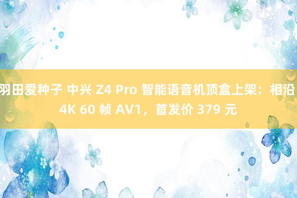 羽田爱种子 中兴 Z4 Pro 智能语音机顶盒上架：相沿 4K 60 帧 AV1，首发价 379 元