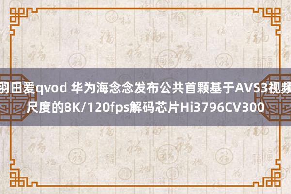 羽田爱qvod 华为海念念发布公共首颗基于AVS3视频尺度的8K/120fps解码芯片Hi3796CV300