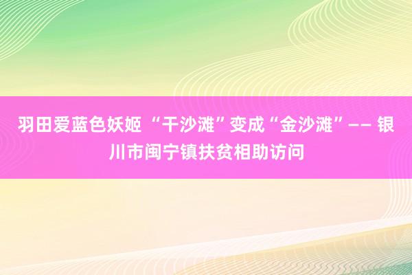 羽田爱蓝色妖姬 “干沙滩”变成“金沙滩”—— 银川市闽宁镇扶贫相助访问