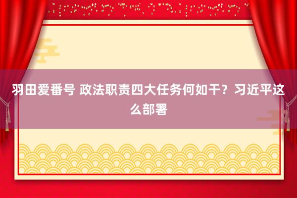 羽田爱番号 政法职责四大任务何如干？习近平这么部署