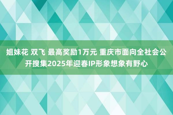 姐妹花 双飞 最高奖励1万元 重庆市面向全社会公开搜集2025年迎春IP形象想象有野心