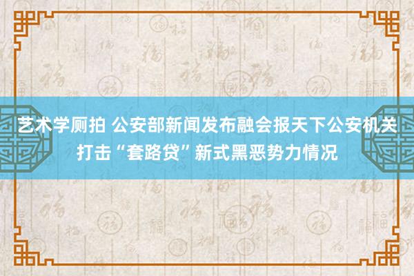 艺术学厕拍 公安部新闻发布融会报天下公安机关打击“套路贷”新式黑恶势力情况